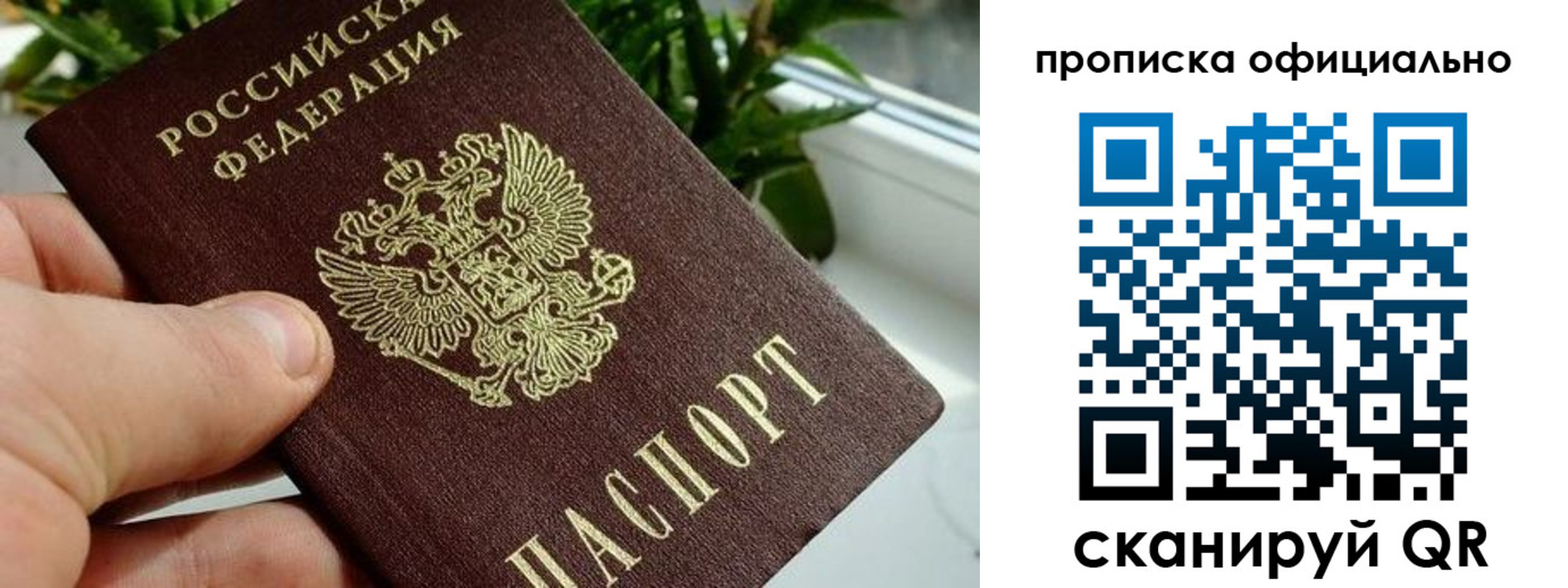 прописка поиск в Липецке